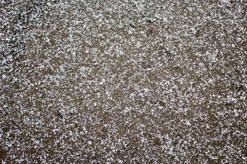 The sidewalk under the first snow. Background Stock Photos