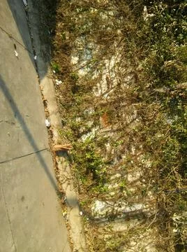 Sidewalk wall background with different nature elements Fotos Stock
