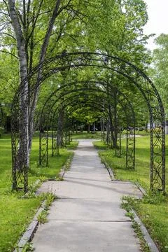 Sidewalks, grass and trees in the park Foto stock