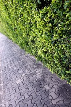 Sidewalks in park. Stock Photos