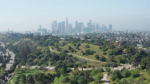 Sideway establish panorama shot of Los Angeles downtown and park palm trees Stock Footage 273838800