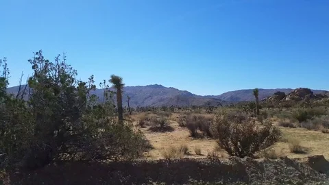 Sideway view of driving on a sand road in Joshua tree national park, in Cal.. Stock Footage 72764746