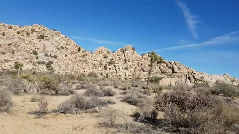 Sideway view video, driving on a sand road in Joshua tree national park, in.. Stock Footage 72763968