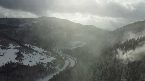 Sideways, bird eye fly across mountain road with christmas trees and snow dust 動画素材 228360087