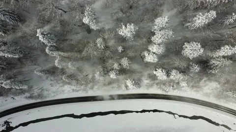 Sideways, bird eye fly along mountain road with christmas trees and snow dust 動画素材 228350522