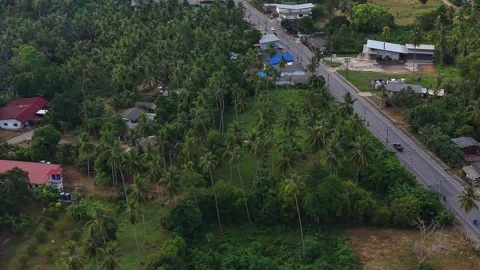 Sideways Drone Flight Above Tropical Road and Palm Forest Stockbeeldmateriaal 336164441