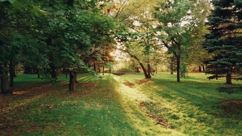 Sideways Drone Flight Capturing Beautiful Sun Rays Through The Trees Stock-Footage 255145392