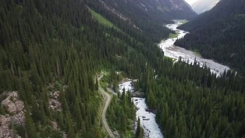 Sideways Drone Flight Over Forested Gorge And River. Kyrgyzstan, Karakol Stock Footage 332937507