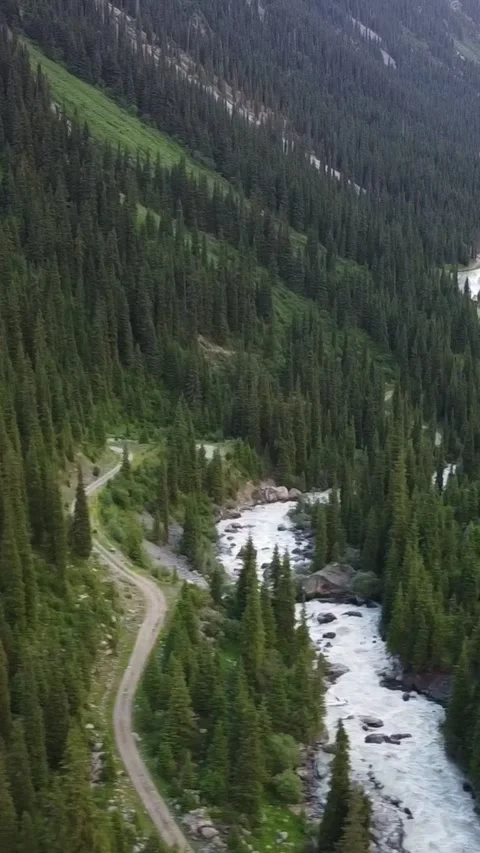 Sideways Drone Flight Over Forested Gorge And River. Kyrgyzstan, Karakol Видео 333621867