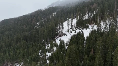 Sideways Drone Flight Over Snowy Pine Canopy in Fog and Clouds, South Ty 库存影片 335936861