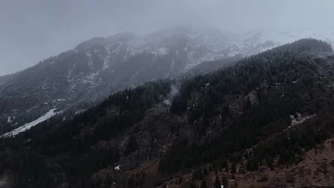 Sideways Drone Flight Over Snowy Pine Forest With Fog and Alpine Mountains Stock Footage 336297753