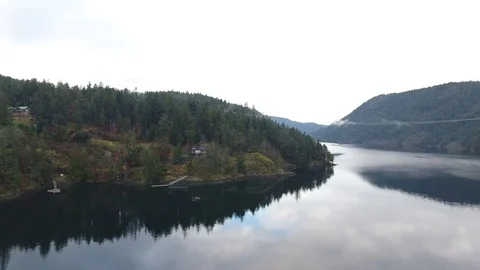 Sideways drone flight past forest at edge of lake Stock Footage 126981940