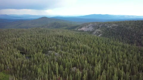 Sideways flight over lush green forest with small lakes and rivers in norther Stock Footage 143744730