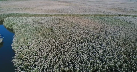 Sideways Flightover a salt marsh Stock-Footage 93167902