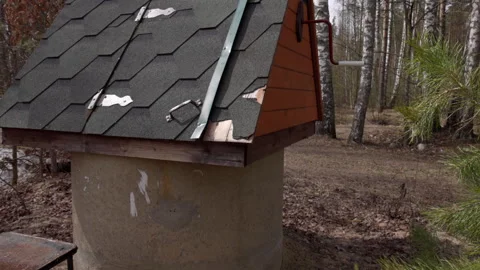 A Sideways Perspective of a Pristine Well in a Sun-Drenched Pine Forest Stock Footage 333013507