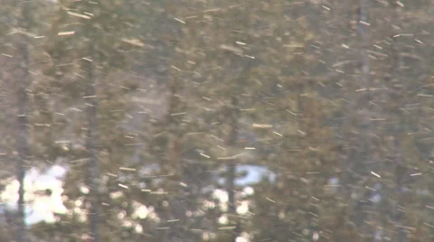 Sideways Snow Storm Flurry Stock Footage 2565379