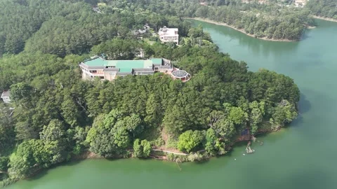 Sideways Tracking Drone of Premium Forest Resort by Lake Shore 動画素材 337013014