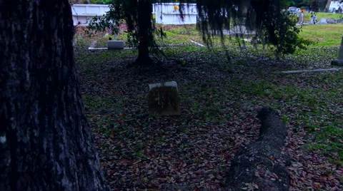 Sideways Walkthrough Graveyard Vidéo 42529293