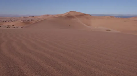 Sidewinder/Peringuey's adder moving across the sand dune Stock Footage 64697697