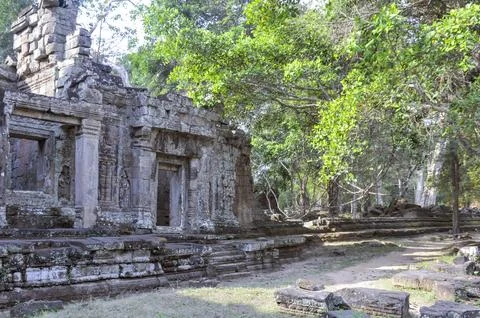 Siem Reap Cambodia-02/01/2012:Ta Prohm Stock Photos