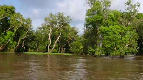 Siem Reap Kompong Phluk Floating Village Stock Footage 306049454