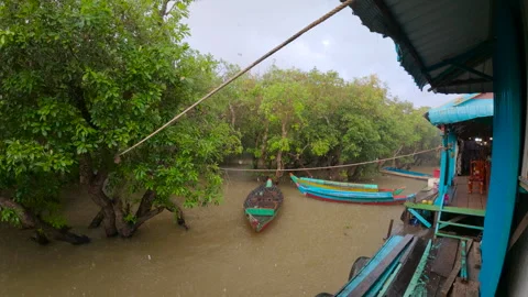 Siem Reap Kompong Phluk Floating Village,Cambodia Stock-Footage 306061012