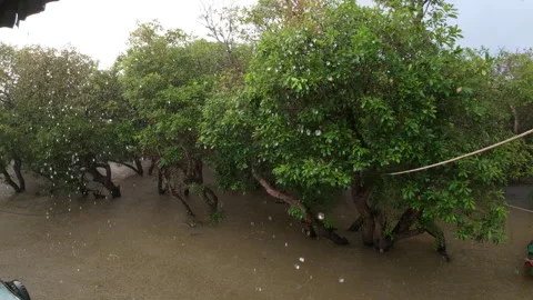 Siem Reap Kompong Phluk Floating Village,Cambodia Stock Footage 306063582