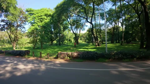 Siemriep-4k-59 Stock Footage 310937868