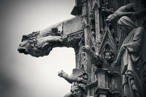 Siena Cathedral gargoyle Stock Photos