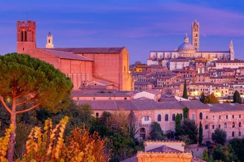 Siena. Cathedral at sunset. Stock Photos