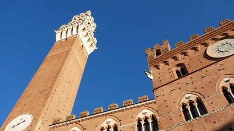 Siena Piazza Campo Stock Footage 73102580