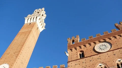 Siena Piazza Campo Stock Footage 73103298