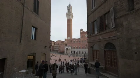 Siena Piazza del Campo Square and Torre del Mangia Tower 스톡 동영상 169698568
