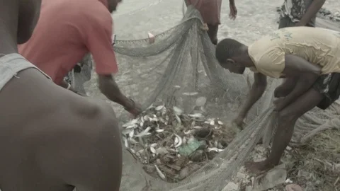 Siene Net on Beach Stock Footage 85106237