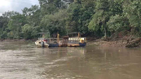 Sierpe River Ferry Stock Footage 115660099