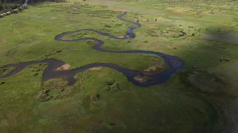 Sierra California Stream Stock Footage 133405251