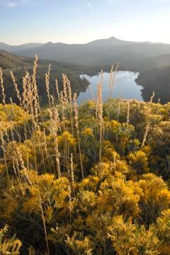 Sierra fall colors Stock Photos