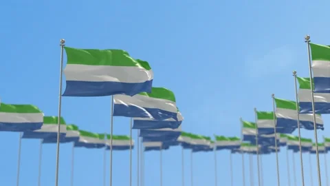 Sierra Leone Row Of Flags Animation Stock-Footage 148792873