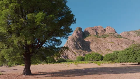 Sierra Madre Occidental Mountain Range with Lone Tree in Durango Mexico. Stock Footage 337912845