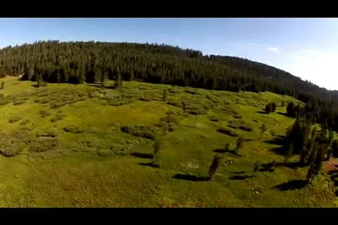 Sierra Meadow Flyover Stock Footage 11452326