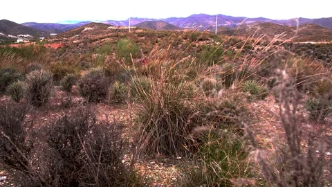 Sierra Nevada Landscape Stock Footage 78571394