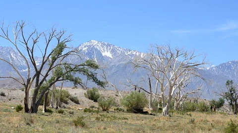 Sierra Nevada Mountains Stock Footage 32220923