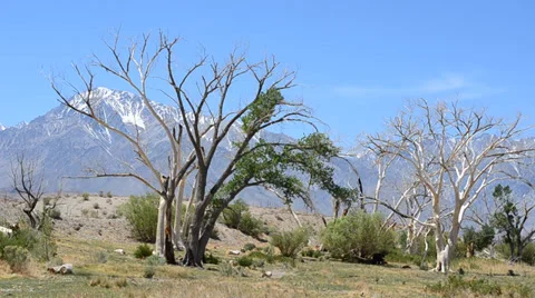 Sierra Nevada Mountains Stock Footage 32221216