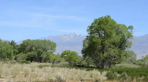 Sierra Nevada Mountains Stock Footage 32221847