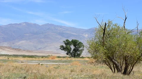 Sierra Nevada Mountains Stock Footage 32223077