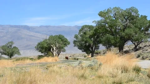 Sierra Nevada Mountains Stock Footage 45992670