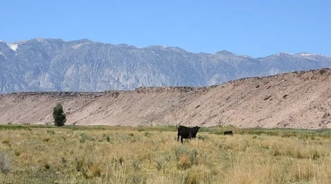 Sierra Nevada Mountains Stock Footage 45993192