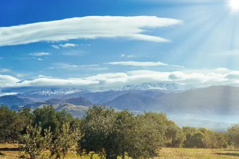 Sierra Nevada as seen from the olive groves in the Llano de la Perdiz in Granada Stock Photos