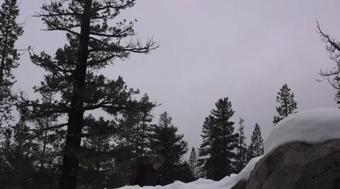 Sierra Nevada, snow fall Stock Footage 44856884