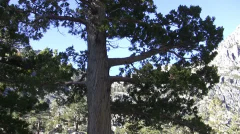 Sierras Peak Stock Footage 10586410